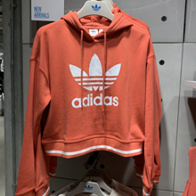 adidas�پW��Ʒ�¿�DH2944_HK